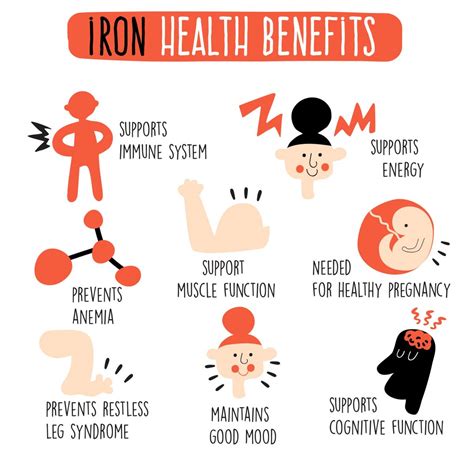 benefits  iron   body homeschooling dietitian mom