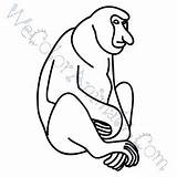 Coloring Proboscis Monkey Pages Click sketch template