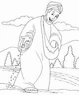 Bible Sower Seed Coloring Parables Infantil Da Scatters Parábola Crafts Semeador Parabola Colorir Para Nt Gospels Illustrations Do Atividades Semente sketch template