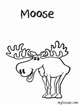 Moose Coloring Pages Head Antlers Template Coloringhome Popular Comments Colouring sketch template