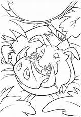 Pumbaa Timon Sleeping Lion King Coloring Pages Categories Coloringonly sketch template