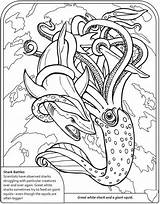 Coloring Pages Shark Squid Sharks Publications Dover Sheets Cuttlefish Books Adult Book Colouring Witch Inspirational Lovely Fresh Welcome Ocean Adults sketch template