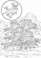 Dogwood Coloring Cornus Flowering Florida Categories sketch template