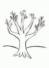 Coloring Trunk Tree Pages Adults Kids Use sketch template