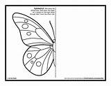 Symmetry Kids Butterfly Activity Coloring Pages Drawing Printable Worksheets Activities Sheets Symmetrical Mirror Draw Grade Template Artforkidshub Bug Pdf Color sketch template