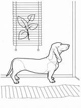 Coloring Pages Dachshund Choose Board Kids Dog sketch template