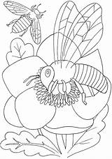 Coloring Pages Bee Insect Flower Bees Insects Kids Print Printable Color Drawing Animals Coloringbay Categories sketch template
