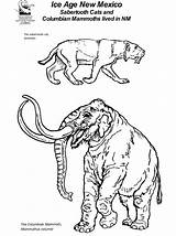 Mammoth Sabertooth sketch template