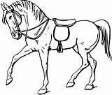 Horse Outline Printable Library Coloring Clipart Clip Book sketch template