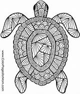 Intricate Coloring Pages Printable Getcolorings Color sketch template