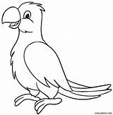 Parrot Papagaio Papagei Burung Mewarnai Kakak Cool2bkids Ausmalbild Pintar Parrots Papageien Tico Hewan sketch template