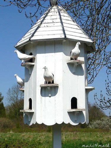 dovecote unique bird houses bird houses diy bird house plans