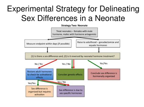 ppt sex differentiation and dimorphism powerpoint