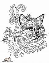 Antistress Katzen Ragdoll Zentangle Katze Buntes Dekoratives Captain sketch template