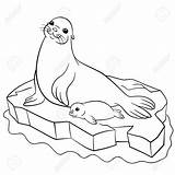 Pages Mother Seal Coloring Animal Cute sketch template