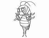 Cockroach Coloring Common Coloringcrew sketch template