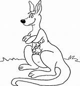 Kangaroo Pages Coloring Coloring4free Joey Pouch Related Posts sketch template