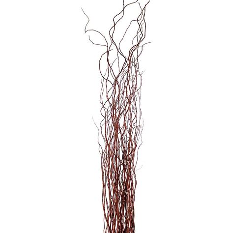 pictures tall decorative branches decorative natural brown birch branches  stems