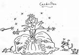Coloring Cuentos Hadas Cendrillon Fairy Coloriages Contes sketch template