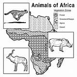 Coloring Animals Africa Pages African Steppe Habitat Vegetation Zone Chart Science Life Library Clipart 15kb 945px sketch template