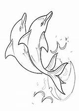 Lumba Delfine Ikan Mewarna Kertas Druckbare Boleh Cetak sketch template