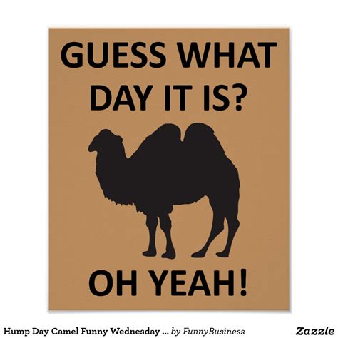 Funny Hump Day Quotes