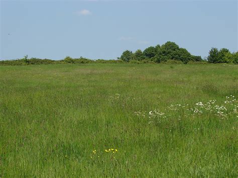 open grassland  alan hunt geograph britain  ireland