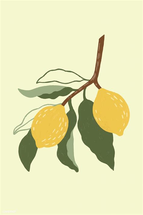 hand drawn lemon design resource vector premium image  rawpixelcom