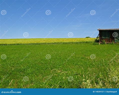 open land stock image image  wooden green plant
