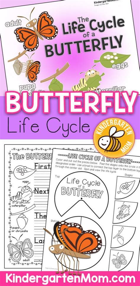 butterfly life cycle printables  set includes  colorful life