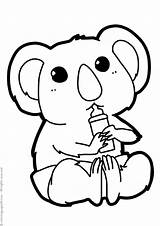 Koala Bears Coloring Print Pages sketch template