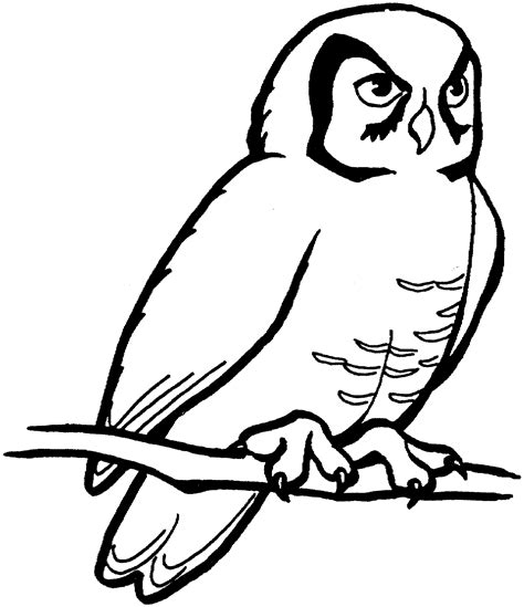 printable owl coloring pages  kids