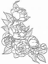 Coloring Peony Pages Flower Color Flowers Tattoo Drawing Pattern Drawings Print Getcolorings Line Visit Sketches Getdrawings перейти Mandala Template Printable sketch template
