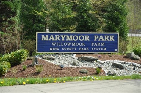 marymoor park king county parks recreation