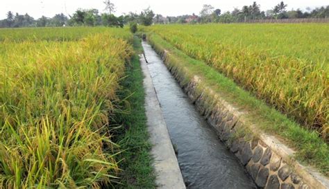 teknologi pertanian diterapkan  indonesia floratechmgmtcom