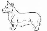 Corgi Line Drawing Coloring Pages Clipartmag sketch template