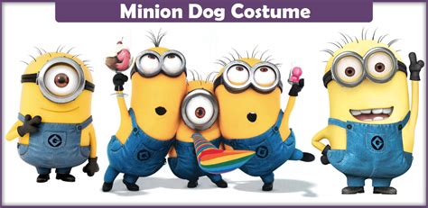 minion dog costume  diy guide cosplay savvy