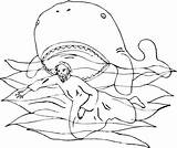 Jonah Whale Colorear Jonas Jona Wal Humpback Coloring4free Giona Jonás Ausmalbild Prophet Balena Baleia Disegno Supercoloring Malvorlage Biblica Moses Ballena sketch template