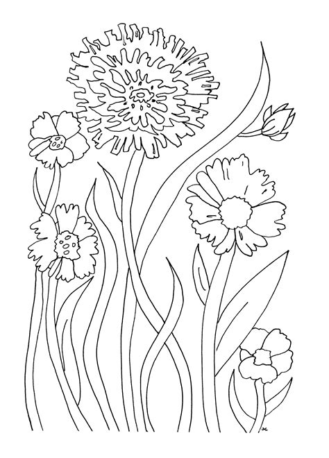 simple flower coloring pages  adults beautiful nails