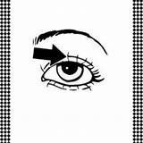 Eyelash Flash Card Lashes Template Coloring sketch template