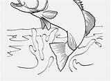 Coloring Pages Printable Fish Walleye Getdrawings Getcolorings Colorings sketch template