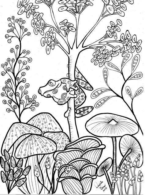 tree frog coloring pages printable
