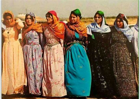 pin by steve wilson on kurdish people iran culture