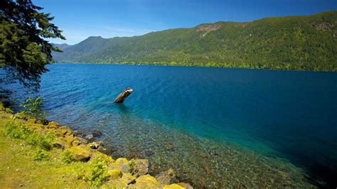 olympic national park vacations  package save    expedia