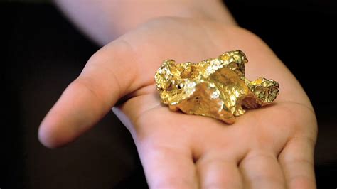 real gold nugget  displayed  hand  stock footage sbv  storyblocks