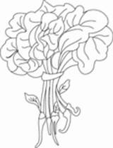 Spinach Coloring Pages Vegetable Green sketch template