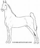 Coloring Saddlebred American Horse Super Gypsy Vanner sketch template