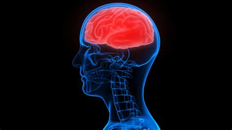 effects  acquired brain injury robert  debry