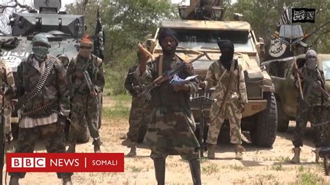 gabdho iskuuley ah oo ka baxsaday boko haram bbc news somali