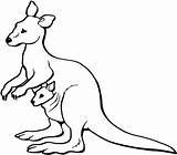 Kangaroo Cangur Planse Colorat Pui Canguro Colorear Colouring Canguri Animale Kangaroos Canguros Elephant Copilul Plansa Calut Joey Colorpage Educatie sketch template